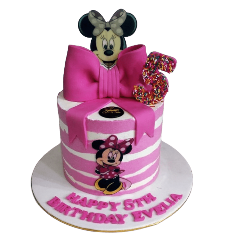 Minnie Mouse Cake Cake N Take